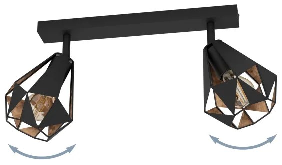 Spot Eglo 43716 CARLTON 2xE27/40W/230V