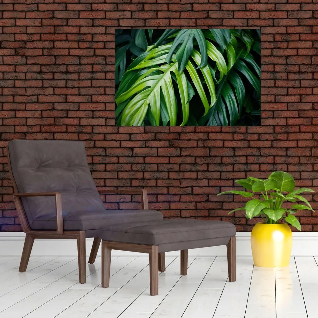 Tablou - Frunze tropicale (90x60 cm)