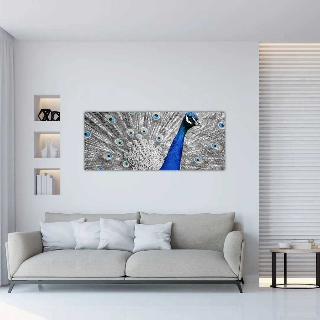 Tablou - păun albastru (120x50 cm)