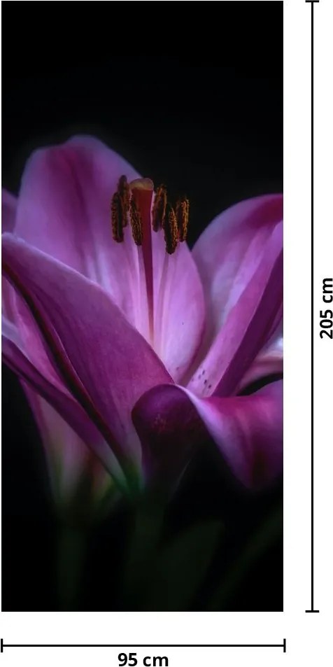 Fototapet pentru ușă - Crini (95x205cm)