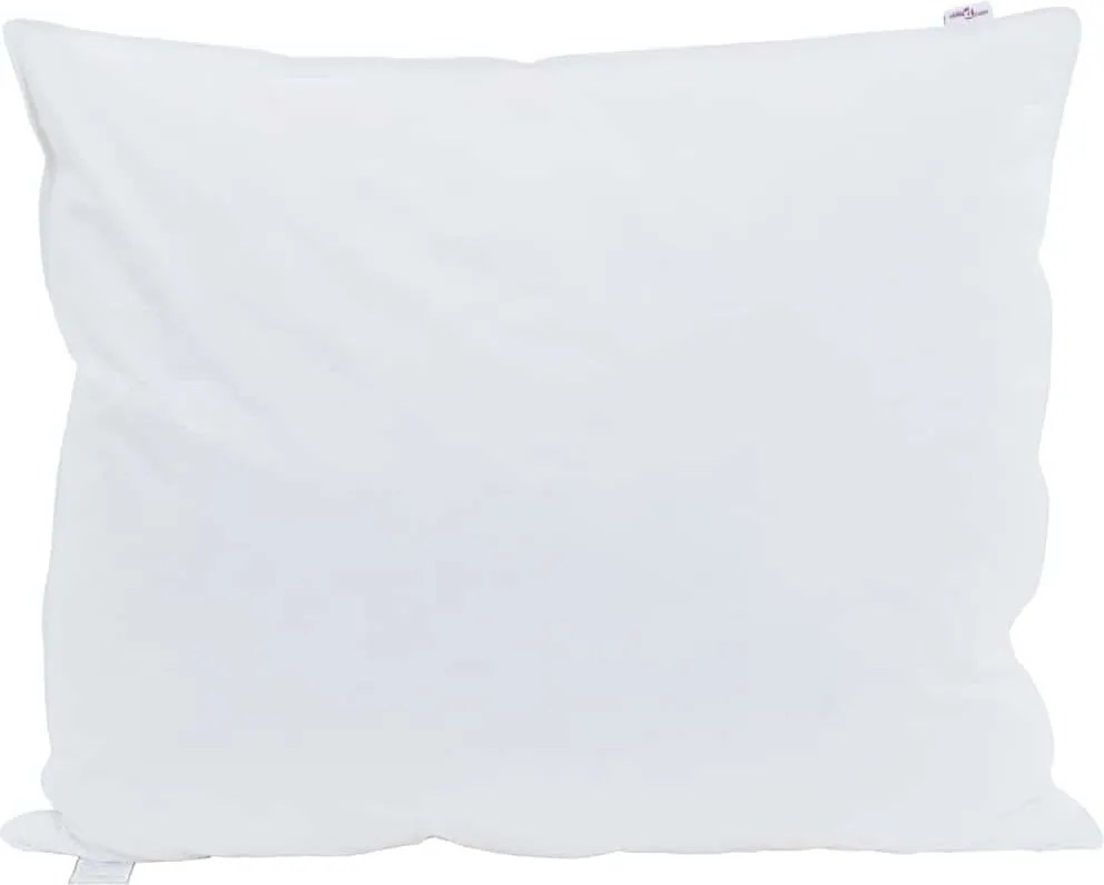 vidaXL Pernă cu pernă 2 pcs Alb 60 x 70 cm Pene