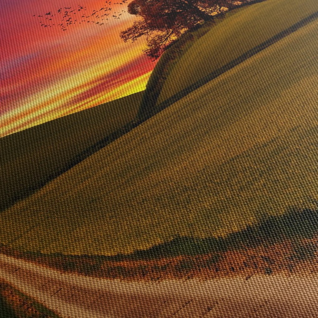 Tablou cu câmp și cerul colorat (120x50 cm)