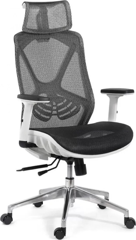 Scaun de birou AURIS, mecanism Multiblock, suport lombar, Mesh, Negru