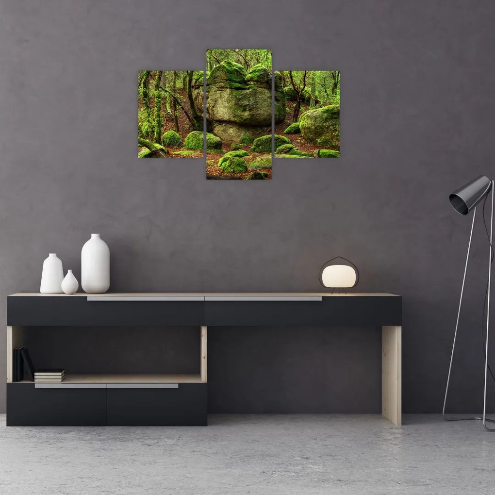 Tablou cu pădurea fermecată (90x60 cm)