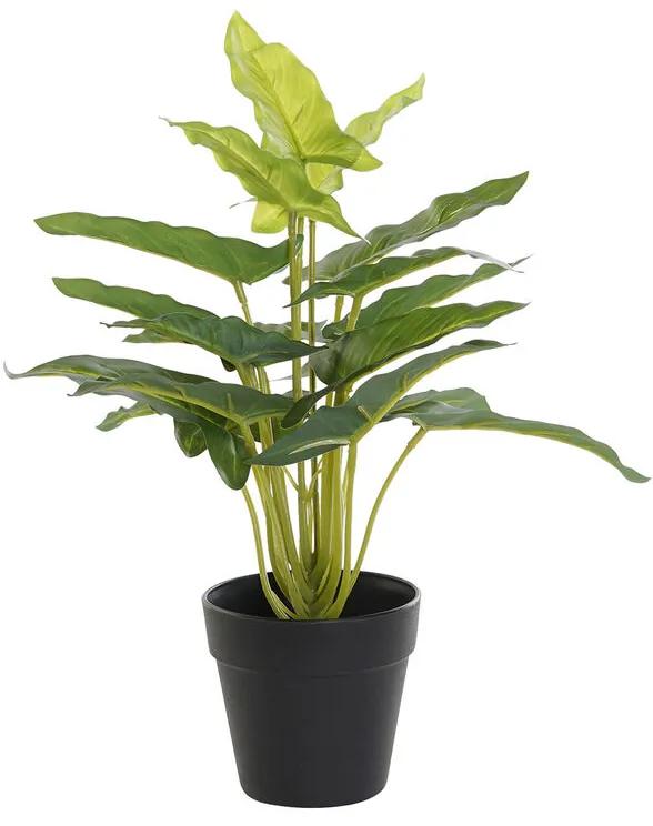 Plantă decorativă dkd home decor negru verde pvc pp crin (25 x 25 x 30 cm)
