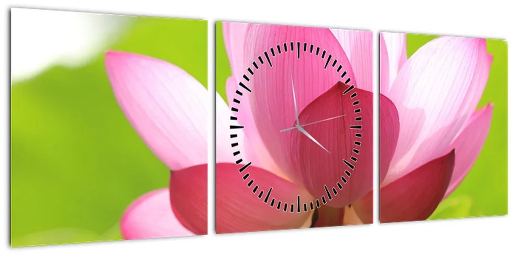 Tablou cu flori de lotus (cu ceas) (90x30 cm)