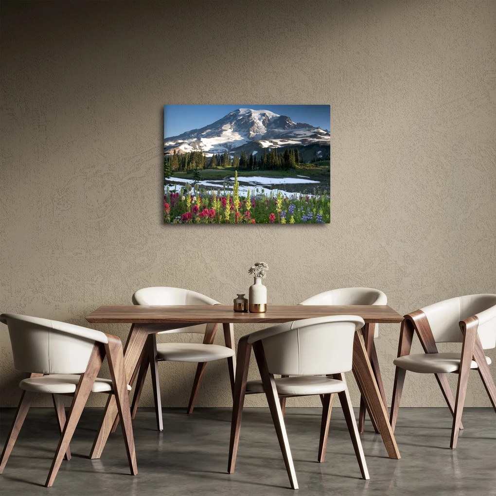 Tablou - Muntele Rainier (70x50 cm)
