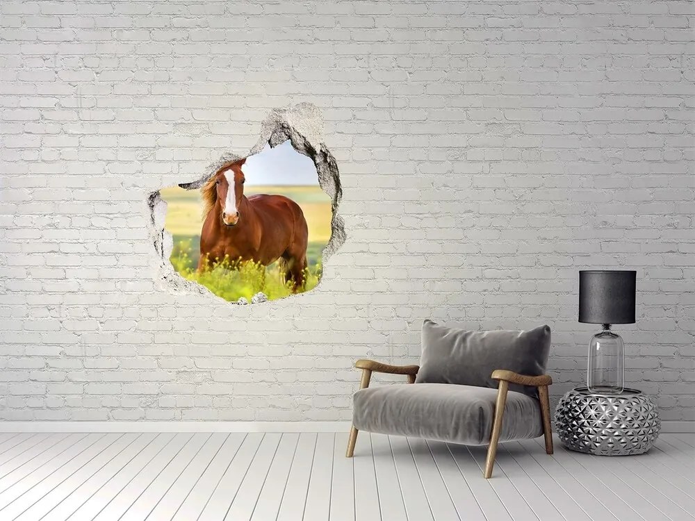 Fototapet 3D gaură în perete Cal maro
