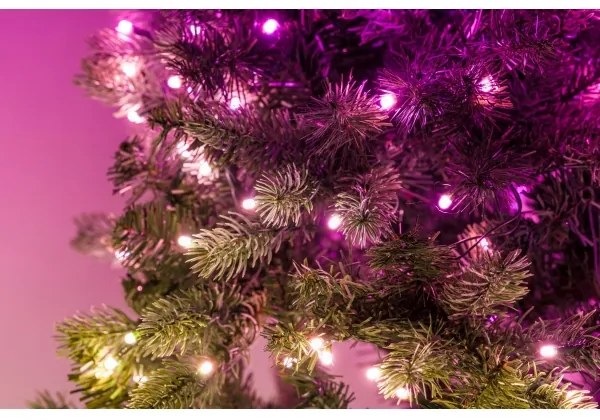 Twinkly TG70P4425P01 - Brad de Crăciun LED RGBW TREE, 435 LED-uri, 2,1 m, Wi-Fi