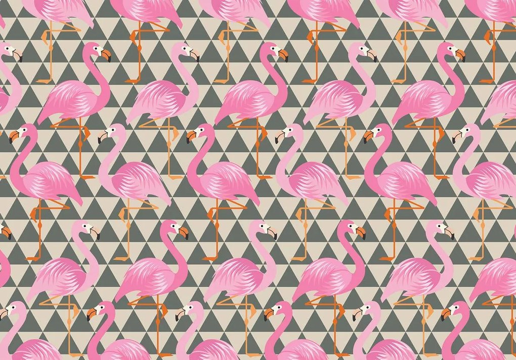 Fototapet - Flamingo (254x184 cm)