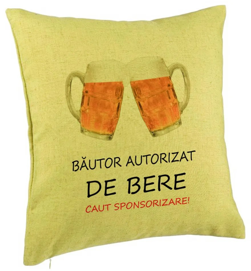 Perna Decorativa, Model Bautor Autorizat de Bere, 40x40 cm, Verde, Husa Detasabila, Burduf