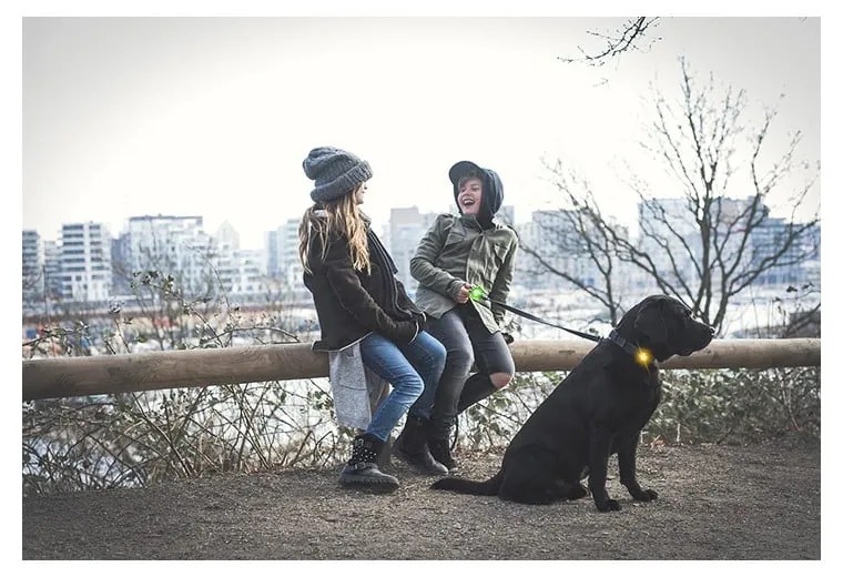 Lanternă LED pentru zgardă Green – Orbiloc