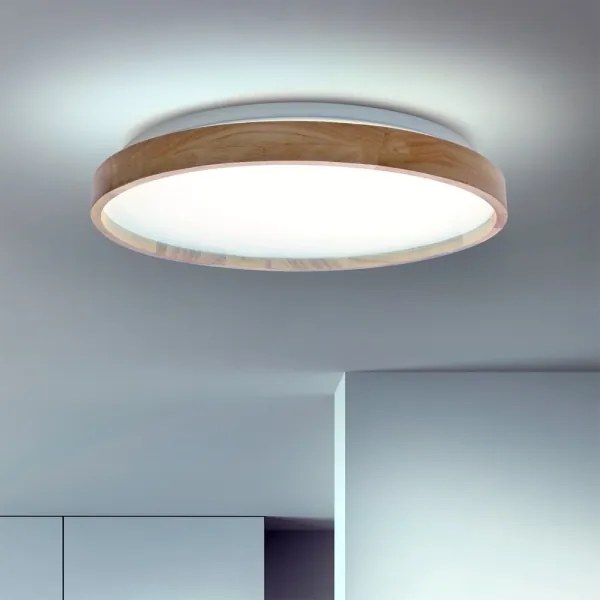 Brilagi - Plafonieră LED dimabilă ALSON LED/48W/230V 3000-6500K + telecomandă