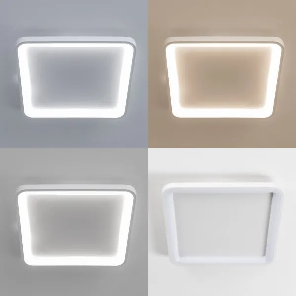 Brilagi - Plafonieră LED dimabilă FALCON SLIM 50W/230V 50x50 cm albă + telecomandă