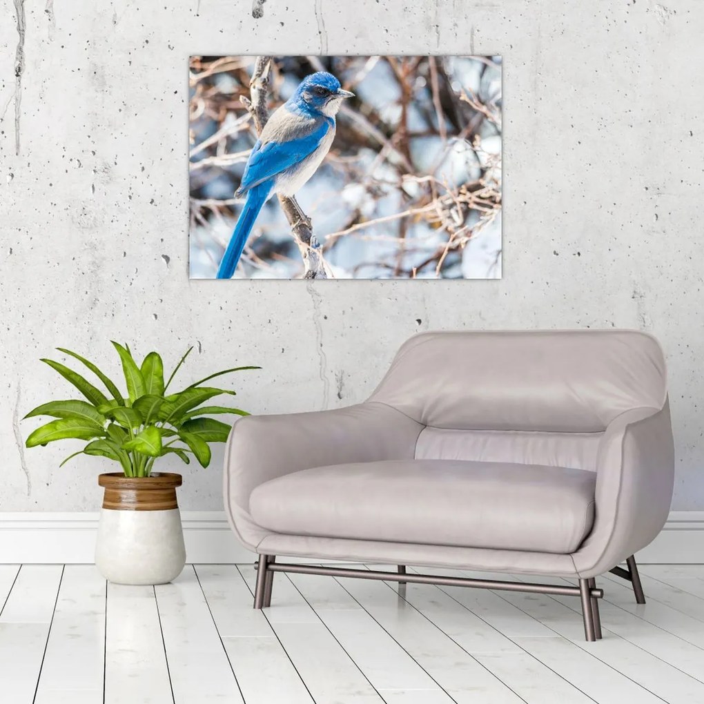 Tablou - Pasare de iarnă (70x50 cm)