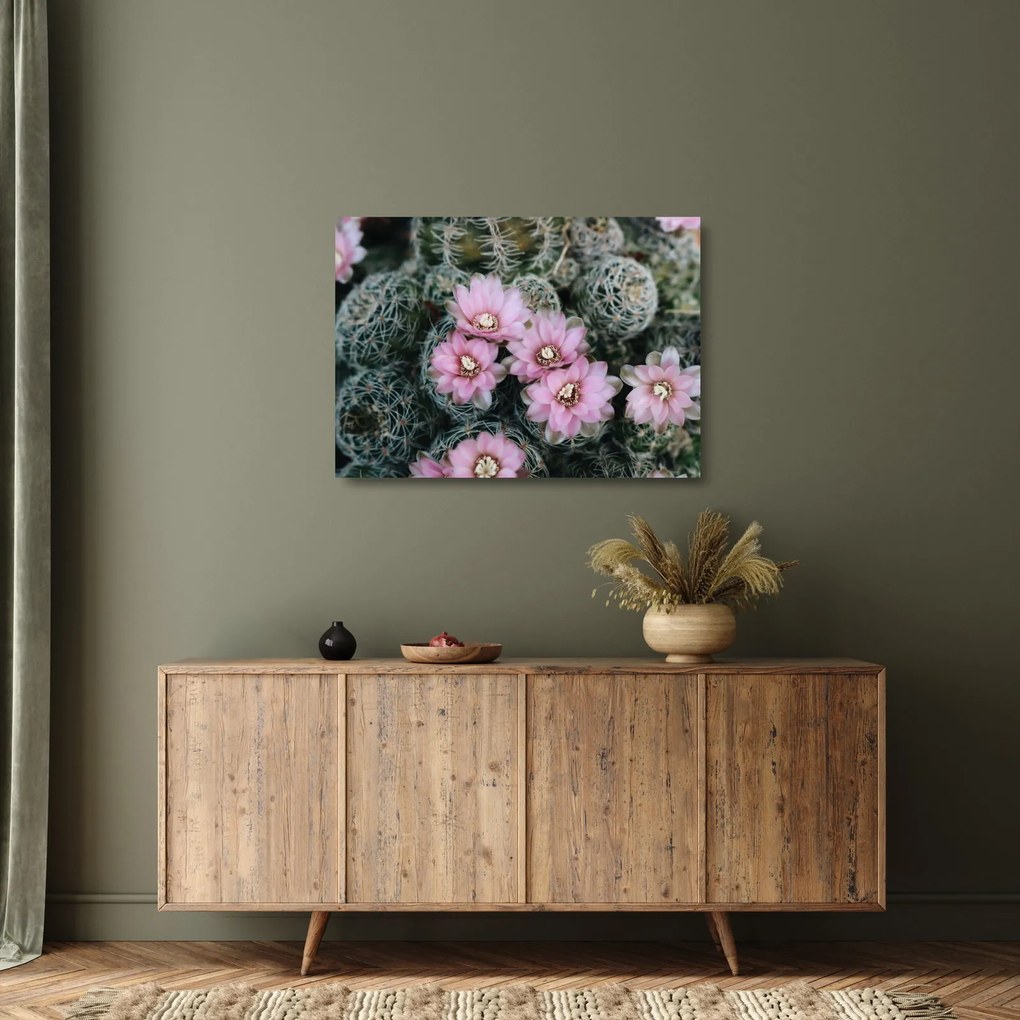 Tablou pe sticlă floare de cactus (70x50 cm)