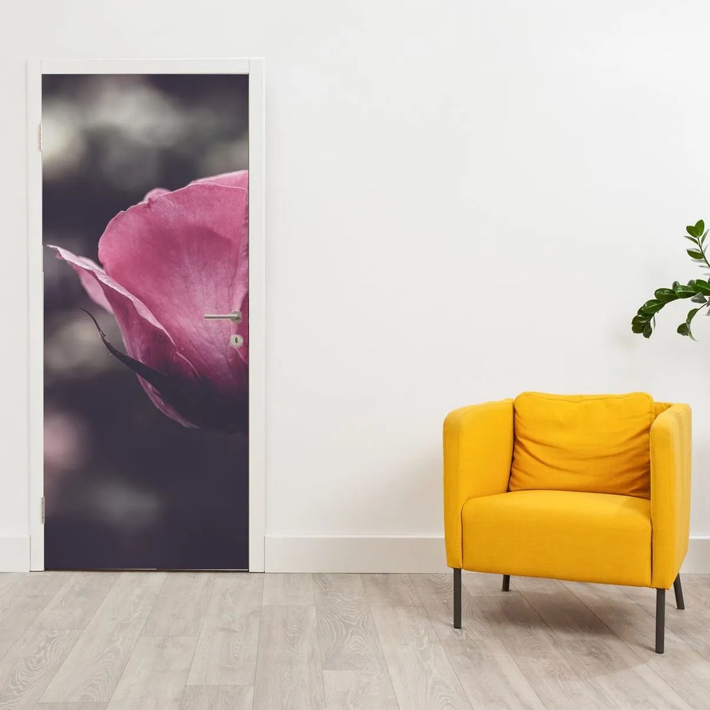 Fototapet pentru ușă - floare în prim plan (95x205cm)