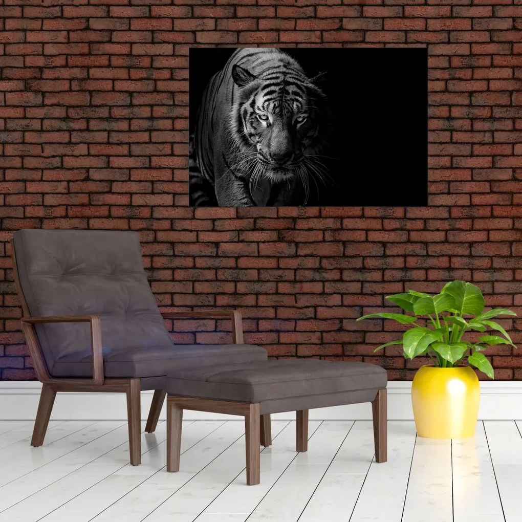 Tablou - Tigru sălbatic (90x60 cm)