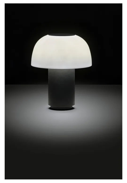 Veioză neagră LED cu intensitate reglabilă din aluminiu (înălțime 22 cm) Harvest – Zone