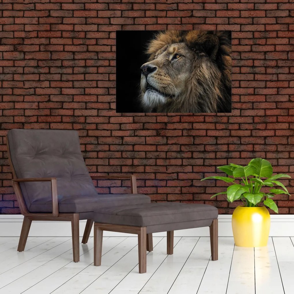Tablou - Leul maiestuos (70x50 cm)
