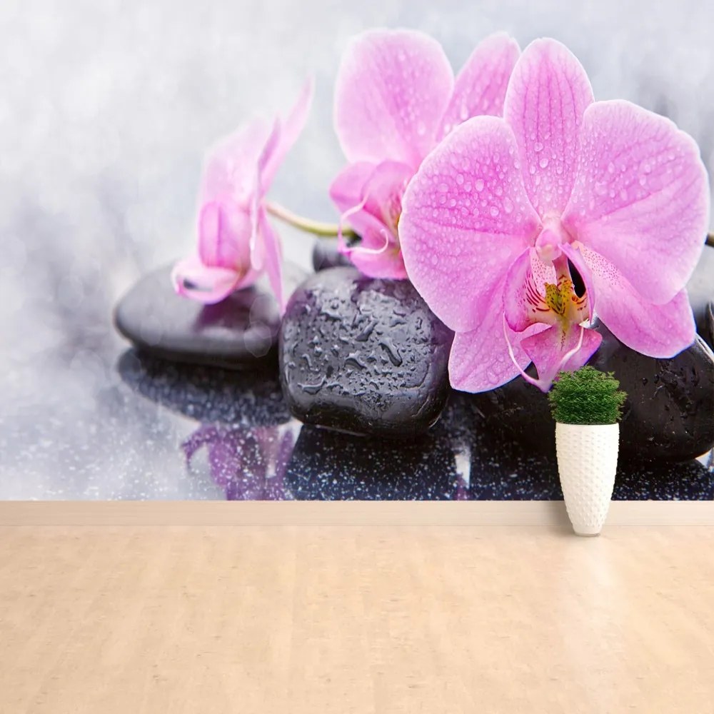 Fototapet Orchid Stones