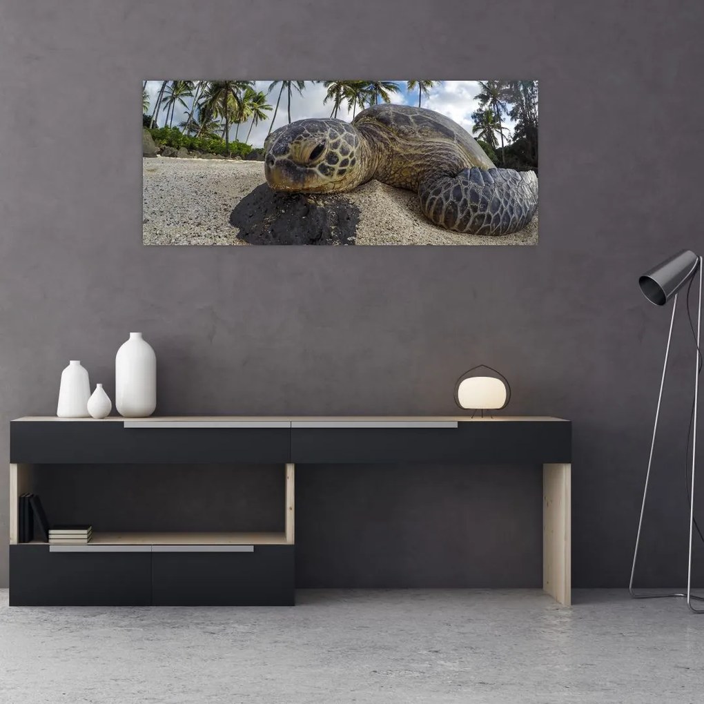 Tablou cu broască țestoasă (120x50 cm), în 40 de alte dimensiuni noi