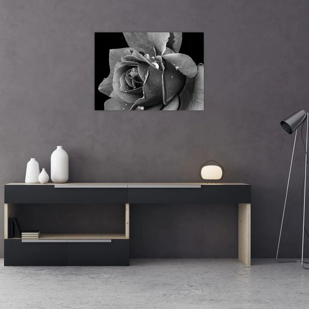 Tablou pe sticlă cu trandafir - albneagră (70x50 cm)
