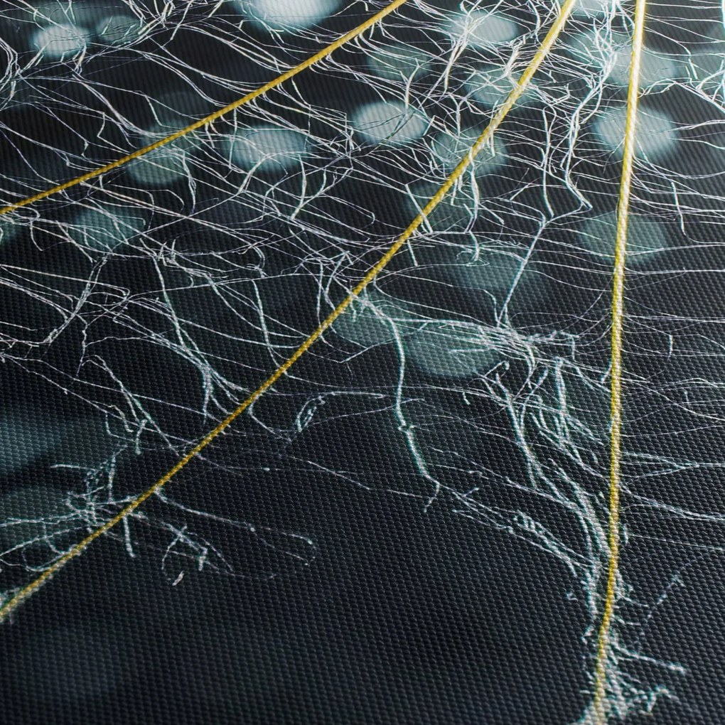 Tablou - Floare cu pânză de pâianjen (90x60 cm)