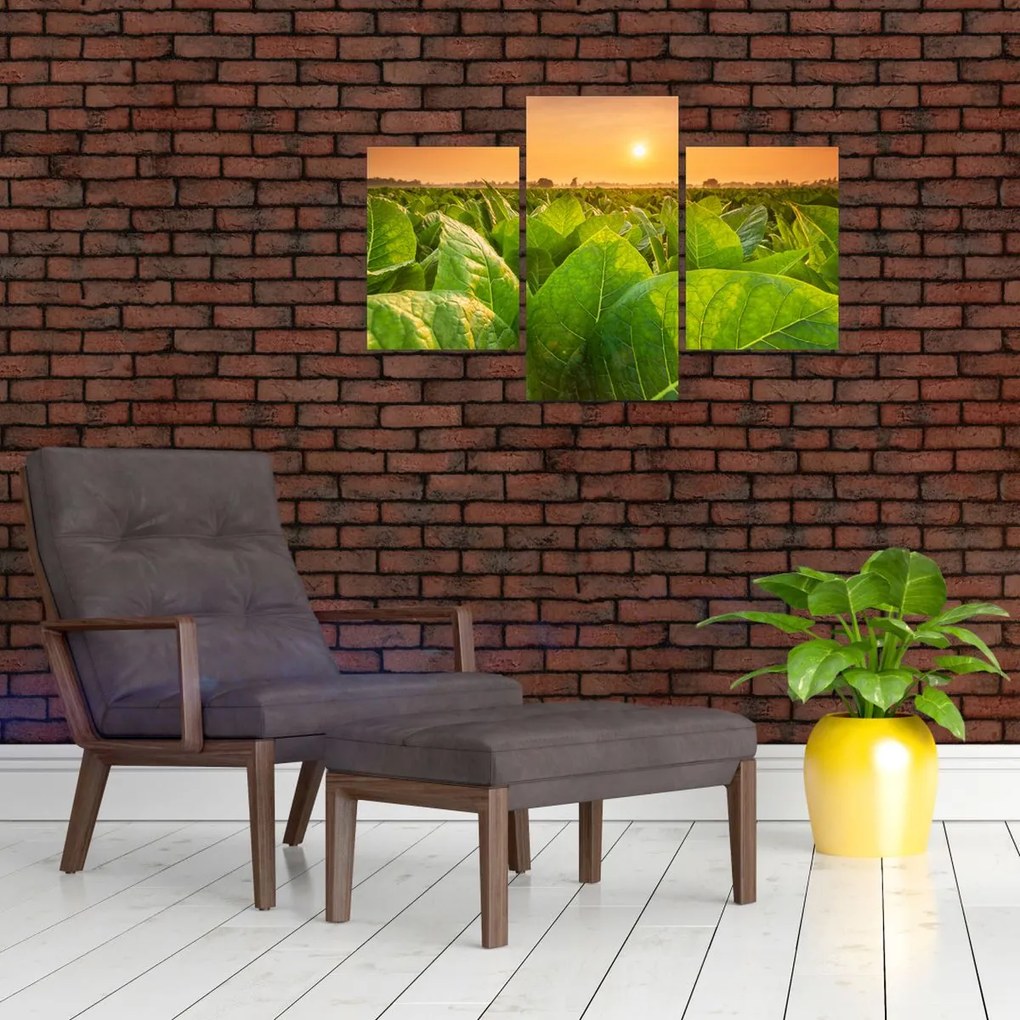 Tablou - Câmp (90x60 cm)