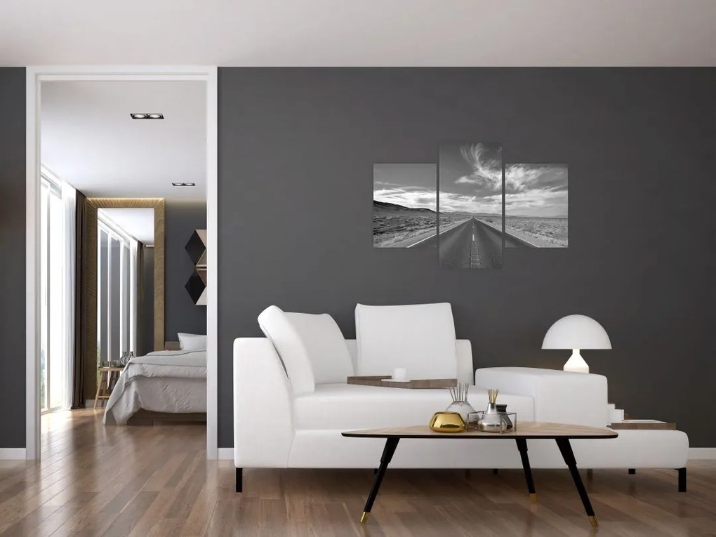 Tabloul cu autostrada (90x60 cm)