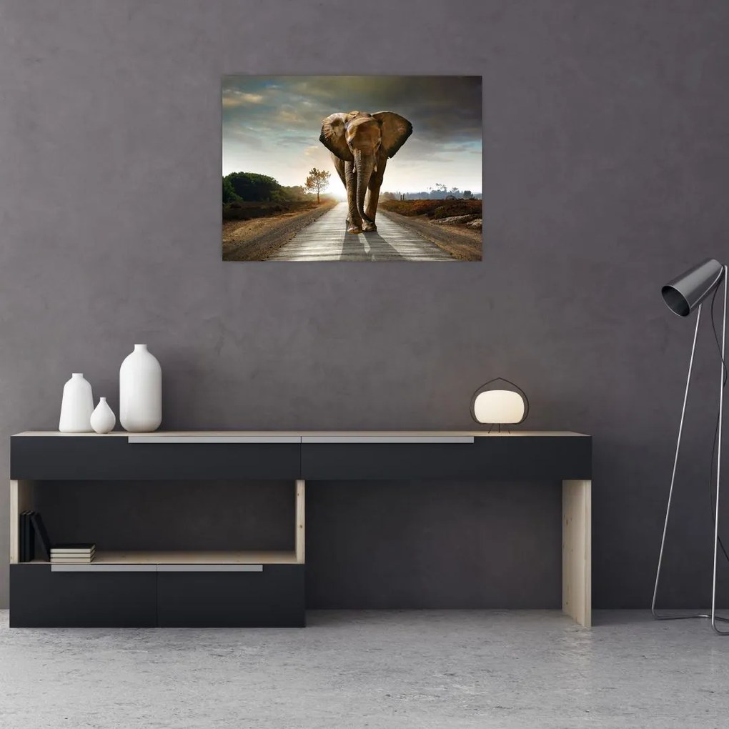 Tablou cu elefant (70x50 cm)