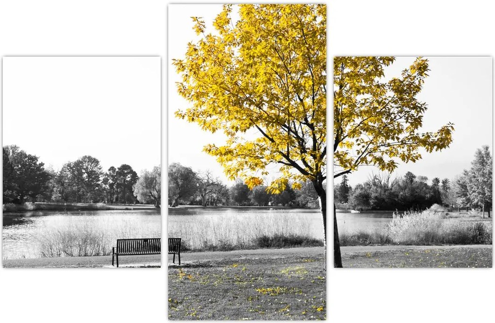 Tablou - relaxare în parc (90x60 cm)