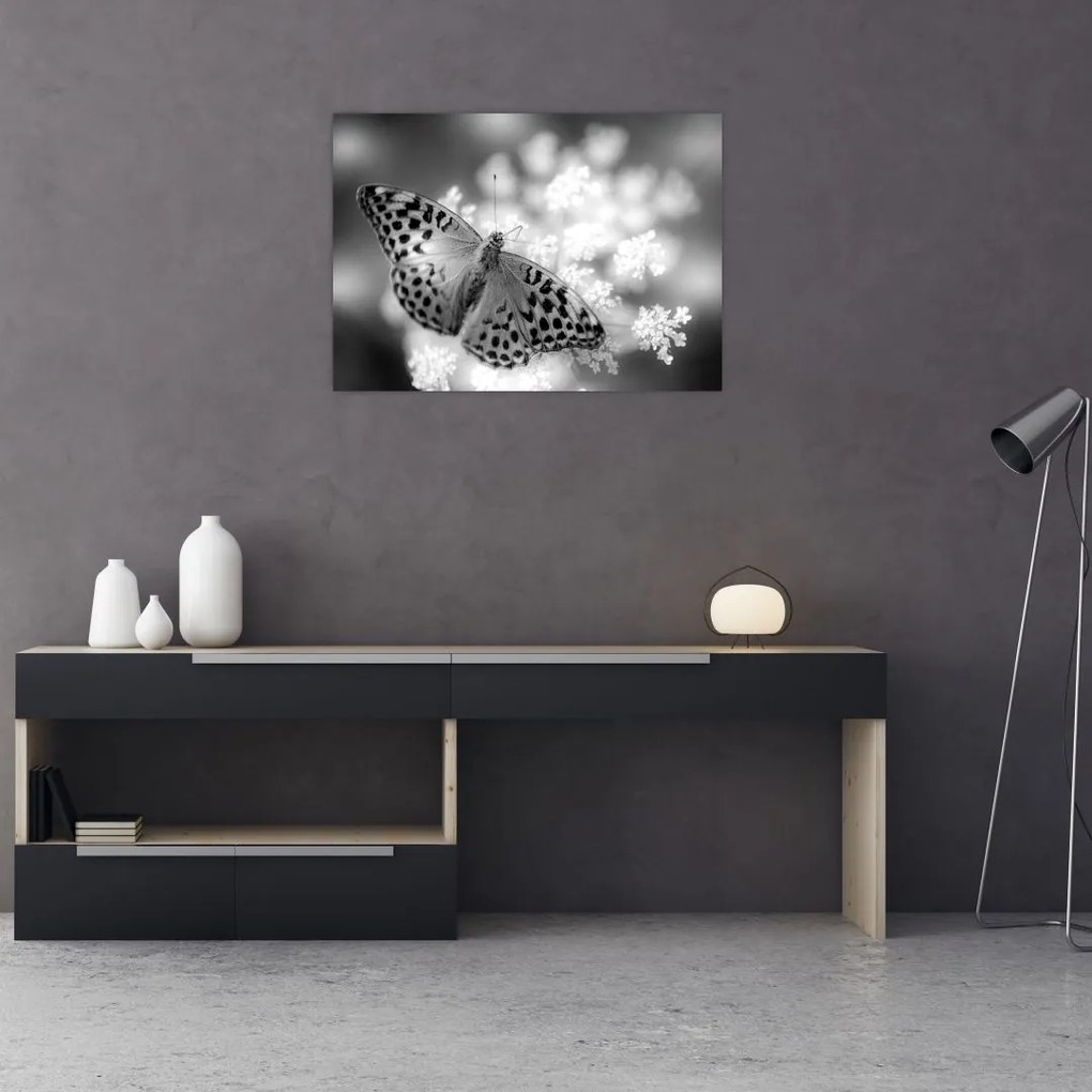 Tablou pe sticlă - Detailu cu fluture care polenizează floare (70x50 cm)