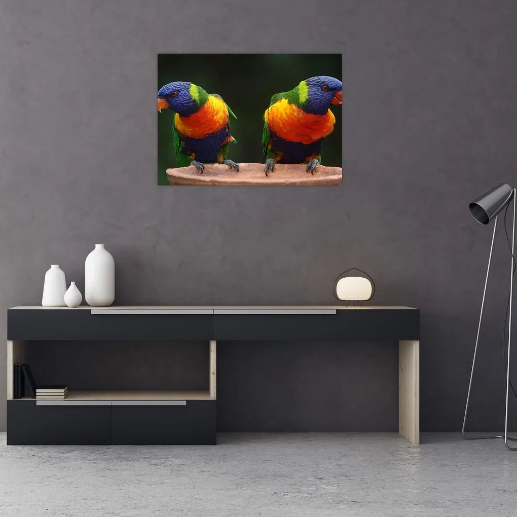 Tablou cu papagali (70x50 cm)