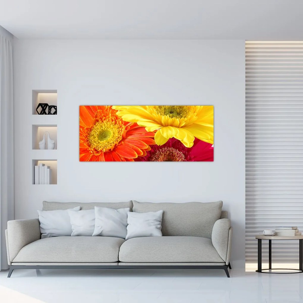 Tablou - Flori Gerbery (120x50 cm)