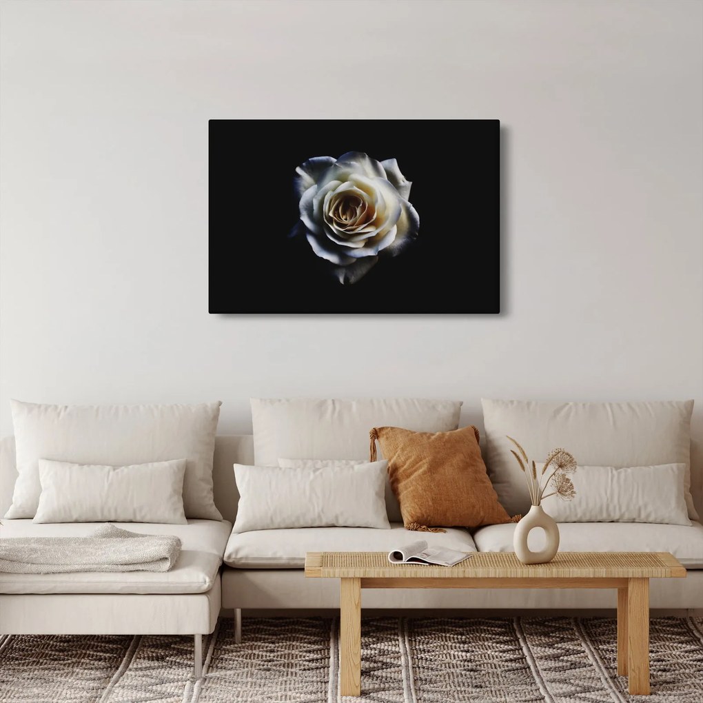 Tablou cu trandafir alb (90x60 cm)