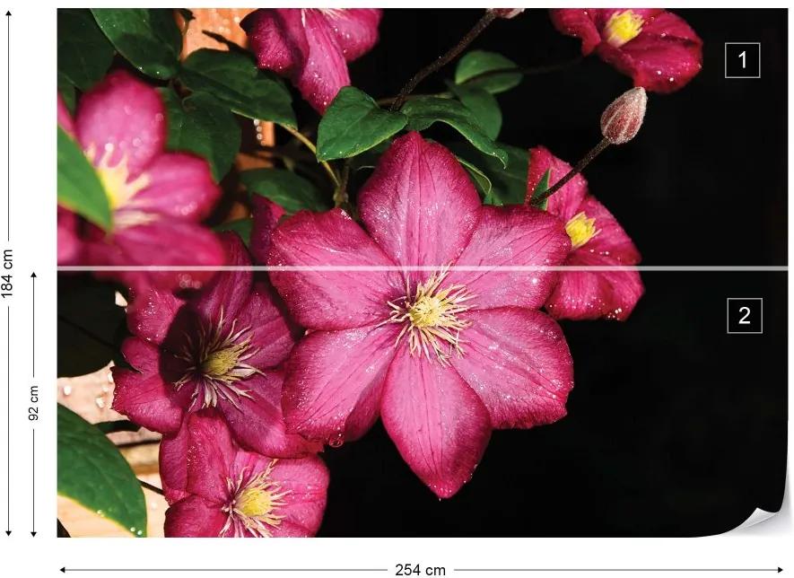 Fototapet GLIX - Pink Flowers  + adeziv GRATUIT Tapet nețesute - 254x184 cm