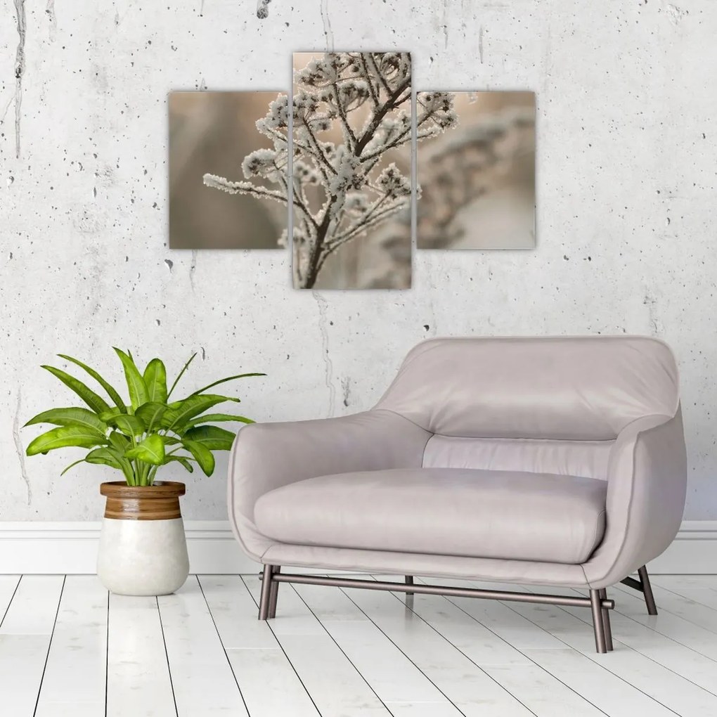 Tablou - Plantează în îngheț (90x60 cm)