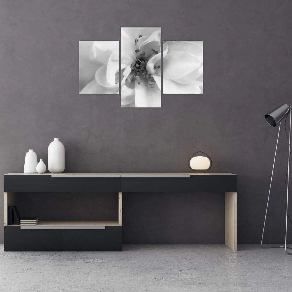 Tablou - Floare,alb-negru (90x60 cm)