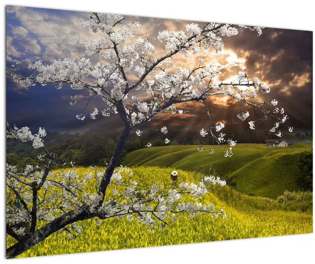 Tablou - Peisaj cu pomul înflorit (90x60 cm)