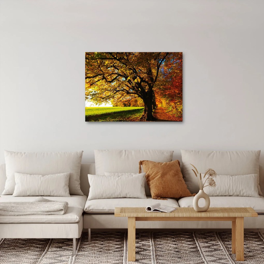 Tablou cu toamna (70x50 cm)