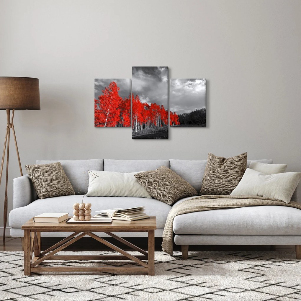 Tablou - Copaci în culorile toamnei (90x60 cm)