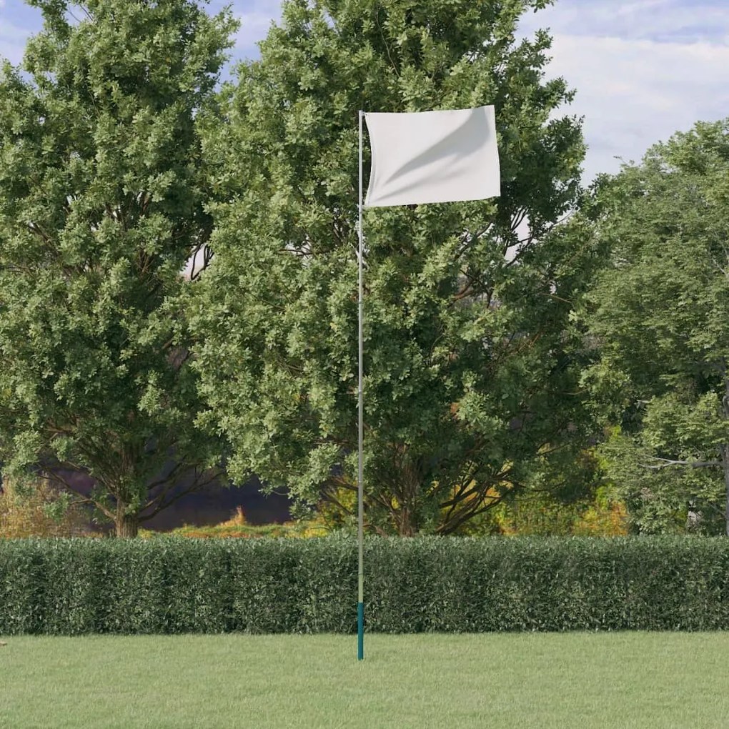 153563 vidaXL Stâlp de steag telescopic, argintiu, 5,55 m, aluminiu