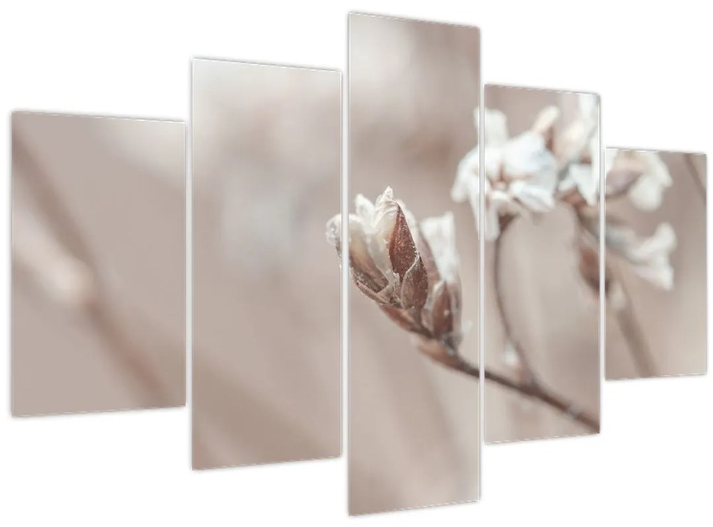 Tablou - Detaliu ramură (150x105 cm)