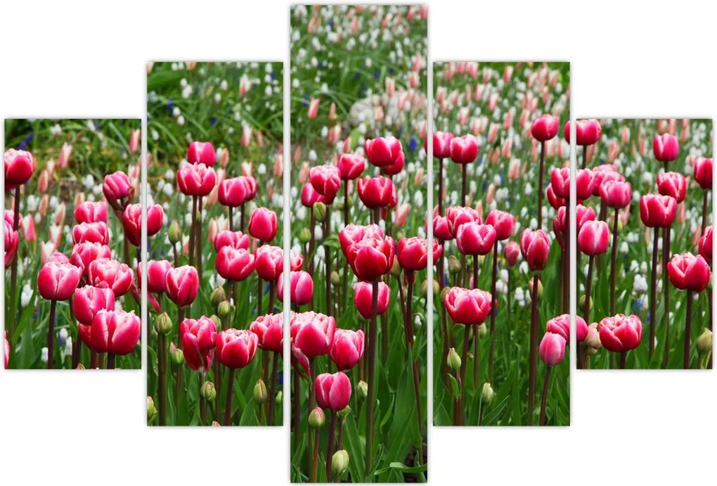 Tablou - Lalele (150x105 cm)