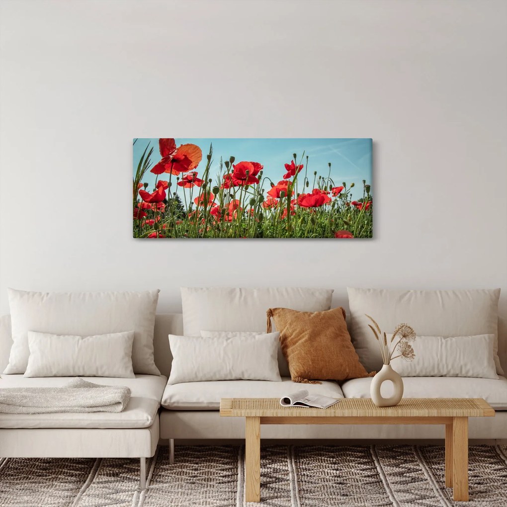 Tablou - Pe câmpul cu maci (120x50 cm)