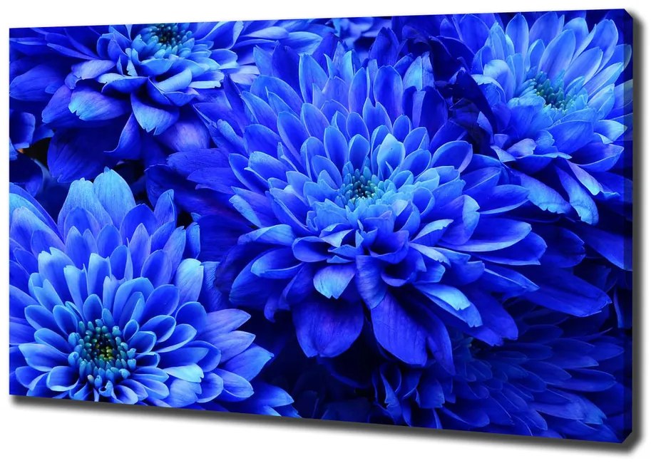 Tablou canvas Aster albastru