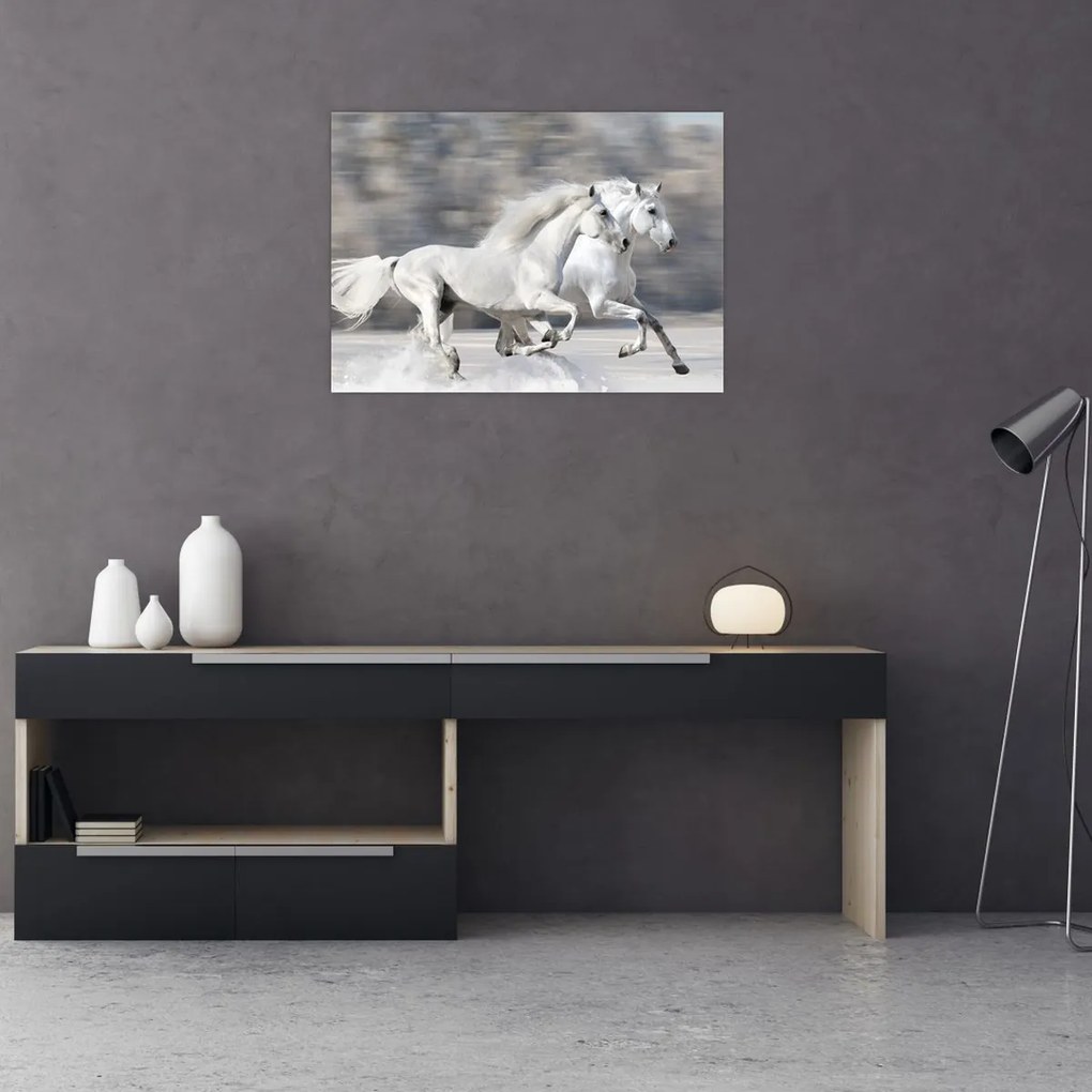 Tablou - Cai albi în timpul iernii (70x50 cm)