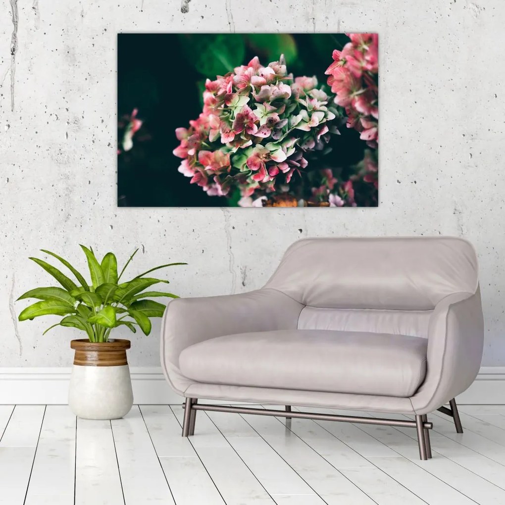Tablou - Hortensie (90x60 cm)
