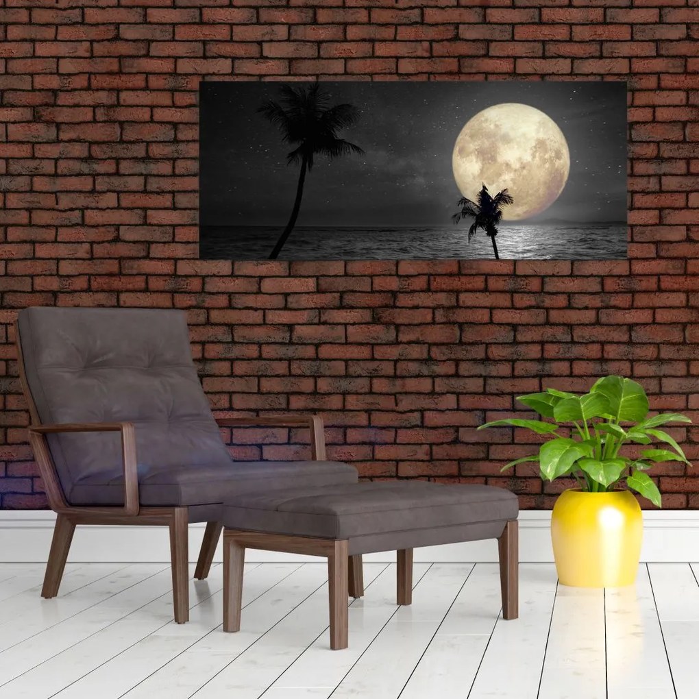 Tablou - Plaja cu lună plină, nuanțe gri (120x50 cm)